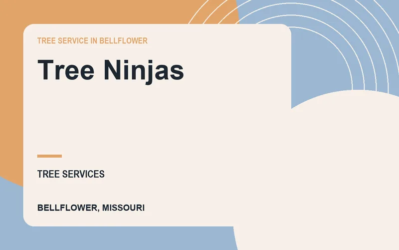 Tree Ninjas in Bellflower, Missouri