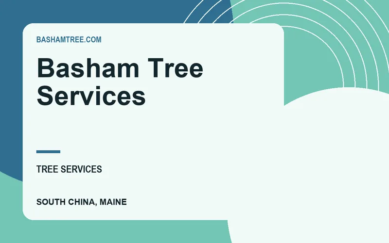 Basham Tree Services in South China, Maine