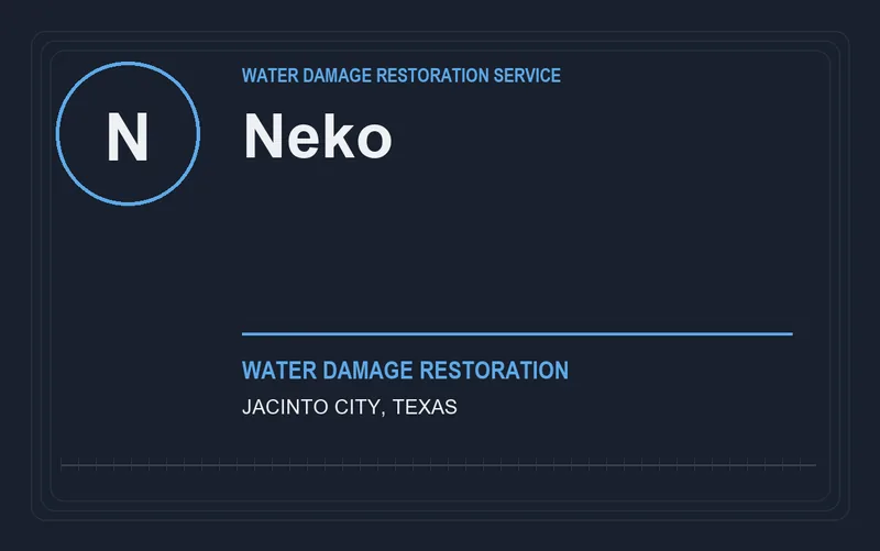 NEKO in Jacinto City, Texas