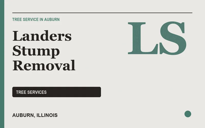 Landers Stump Removal in Auburn, Illinois