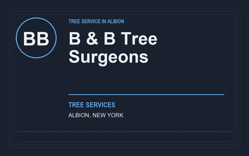 B & B Tree Surgeons in Albion, New York