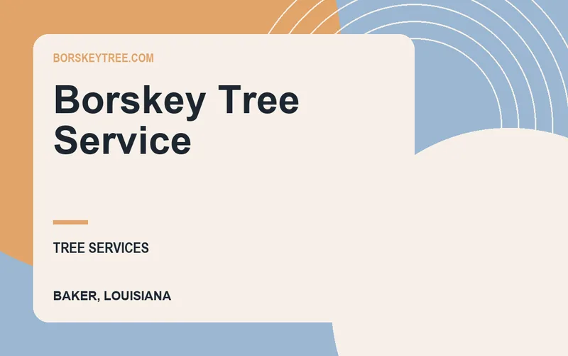 Borskey Tree Service in Baker, Louisiana