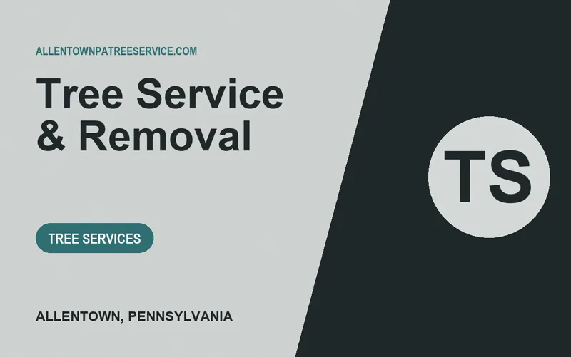 Tree Service & Removal in Allentown, Pennsylvania
