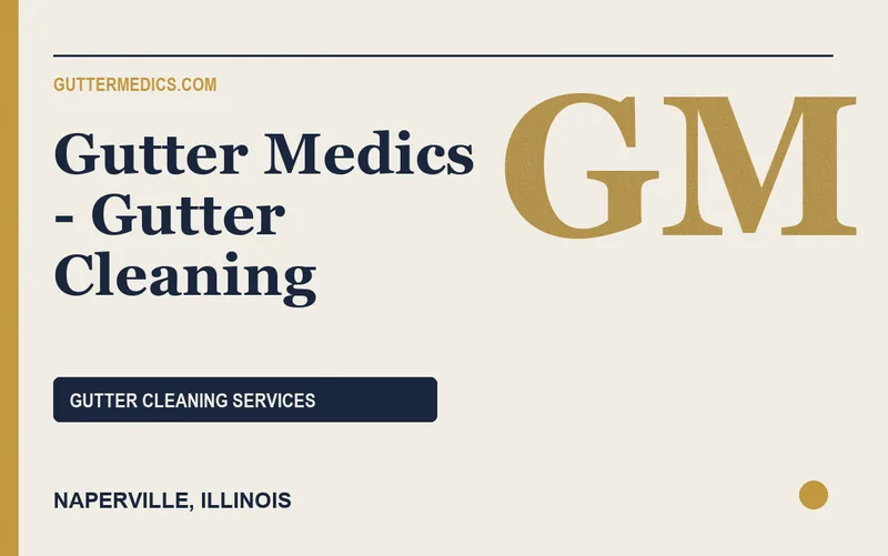 Gutter Medics - Gutter Cleaning in Naperville, Illinois