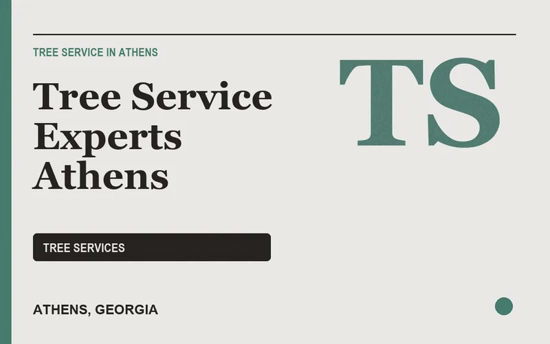 Tree Service Experts Athens in Athens, Georgia