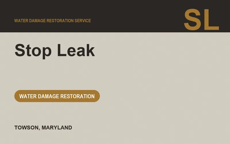 Stop Leak in Towson, Maryland