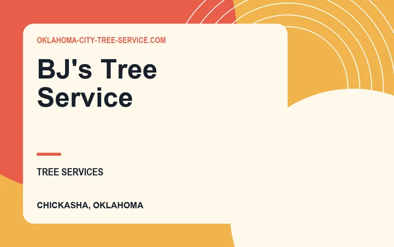 BJ's Tree Service in Chickasha, Oklahoma