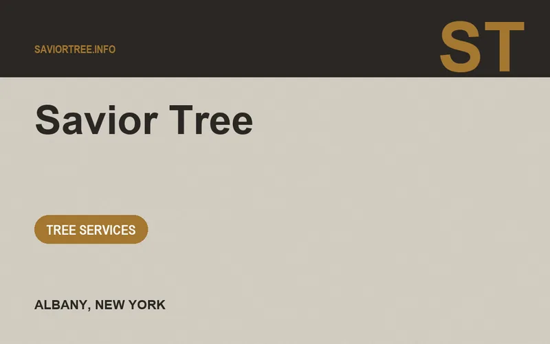 Savior Tree in Albany, New York