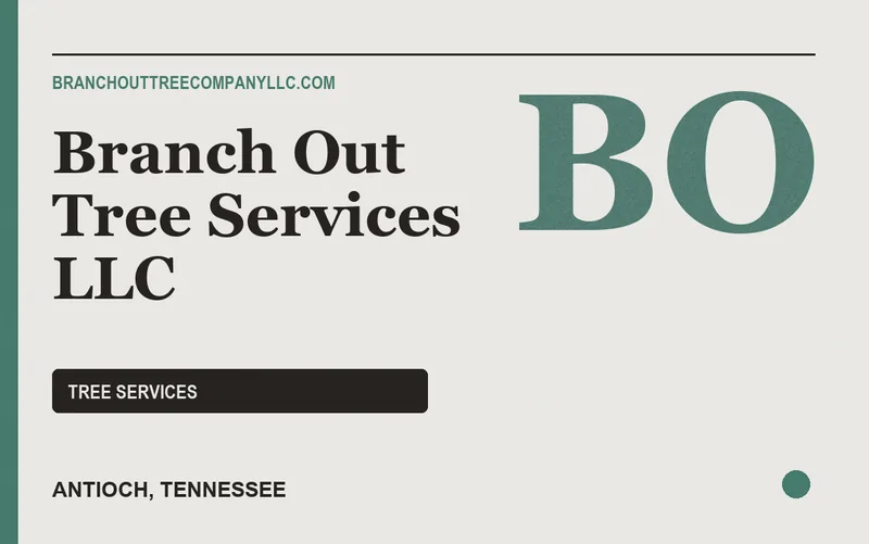 Branch Out Tree Services LLC in Antioch, Tennessee