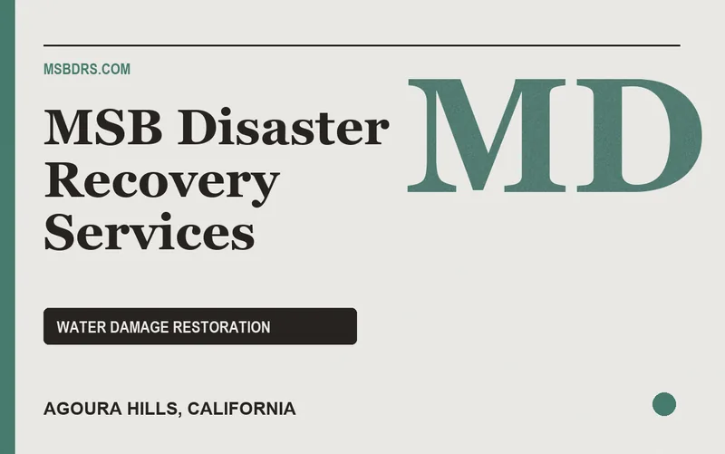 MSB Disaster Recovery Services in Agoura Hills, California
