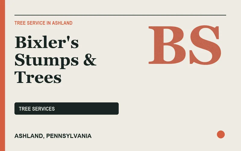 Bixler's Stumps & Trees in Ashland, Pennsylvania