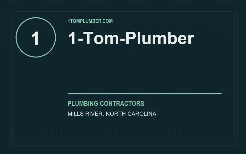 1-Tom-Plumber in Mills River, North Carolina
