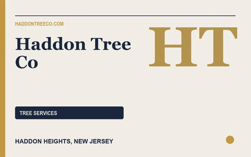 Haddon Tree Co in Haddon Heights, New Jersey