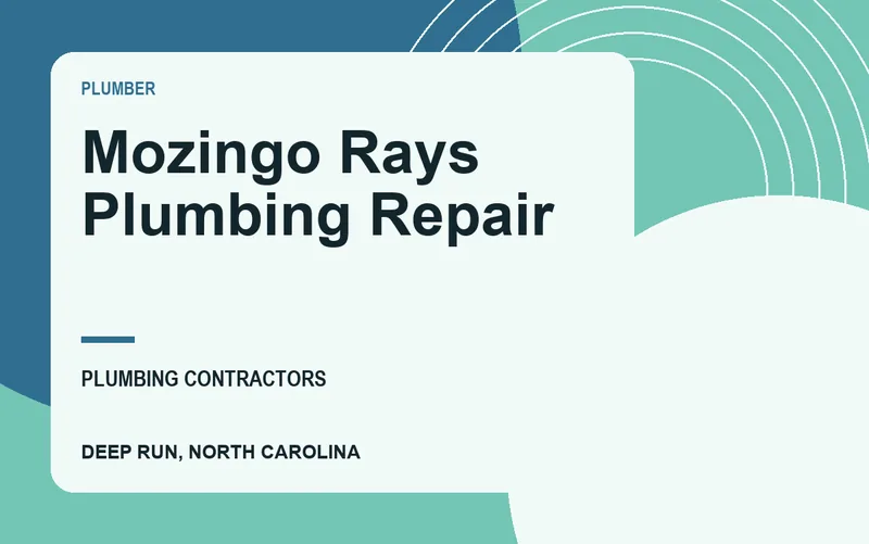 Mozingo Rays Plumbing Repair in Deep Run, North Carolina