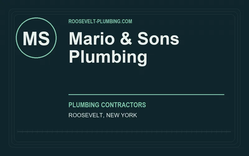 Mario & Sons Plumbing in Roosevelt, New York