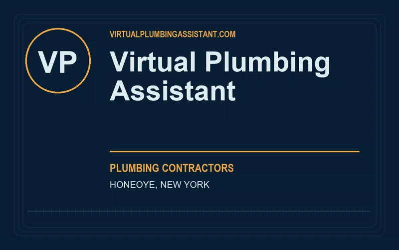 Virtual Plumbing Assistant in Honeoye, New York