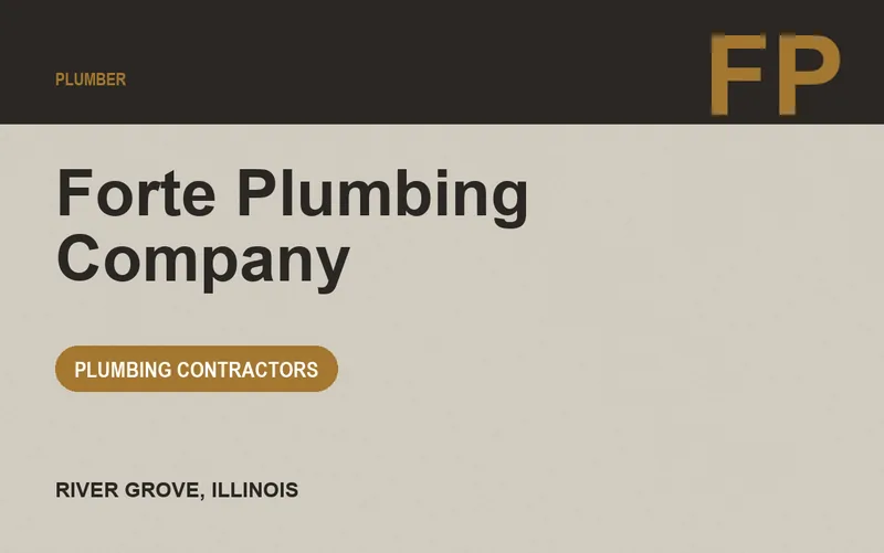 Forte Plumbing Company in River Grove, Illinois