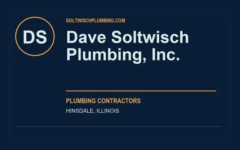 Dave Soltwisch Plumbing, Inc. in Hinsdale, Illinois