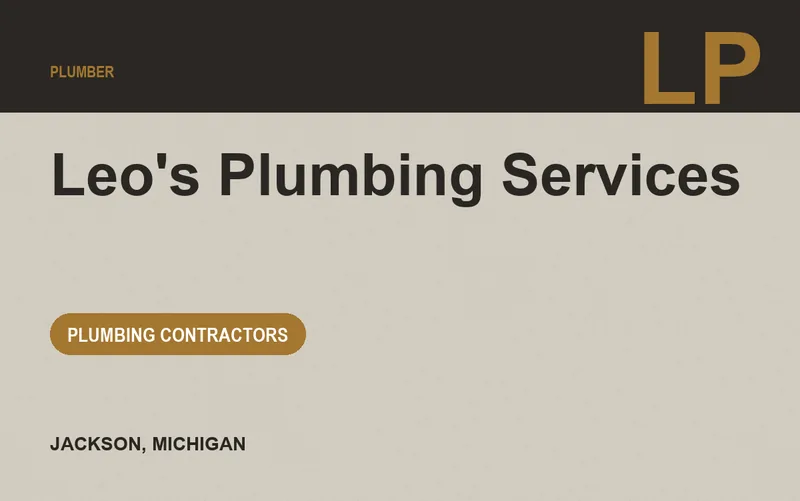 Leo's Plumbing Services in Jackson, Michigan