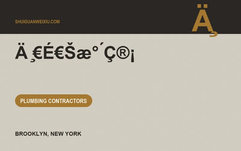 ä ̧€é€šæ° ́ç®¡ in Brooklyn, New York