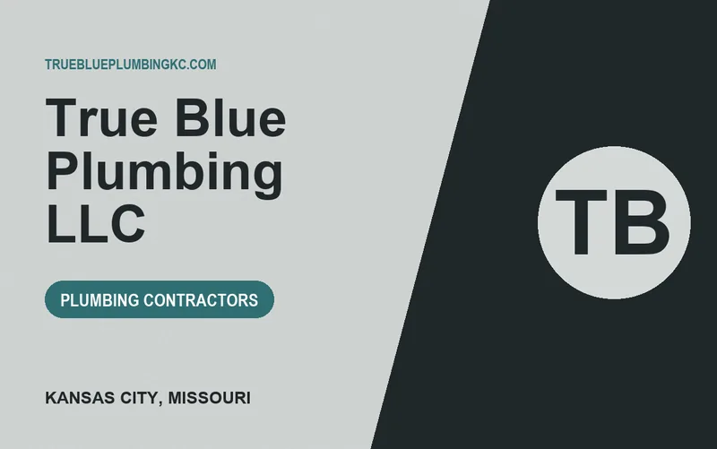 True Blue Plumbing LLC in Kansas City, Missouri