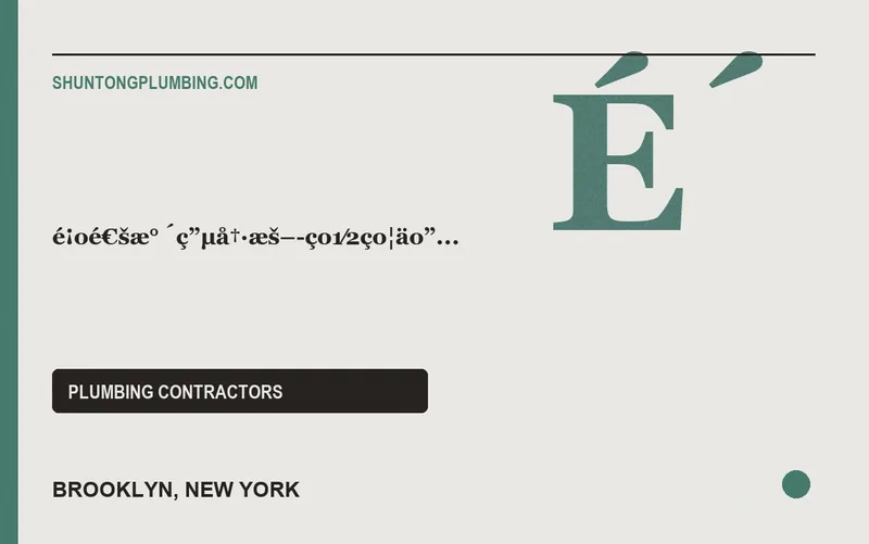 é¡oé€šæ° ́ç”μå†·æš–-ço1⁄2ço¦äo”å¤§åŒoã€æ–°æ31⁄2è¥¿ã€åo·å·žã€è ́1åŸŽ ï1⁄4š ç–é€šä ̧‹æ° ́é“ ã€ç» ́ä¿®æ1⁄4æ° ́ã€ç...¤æ°”ã€æš–æ°”ã€ç...¤æ°”152æ£€æŸ¥ in Brooklyn, New York
