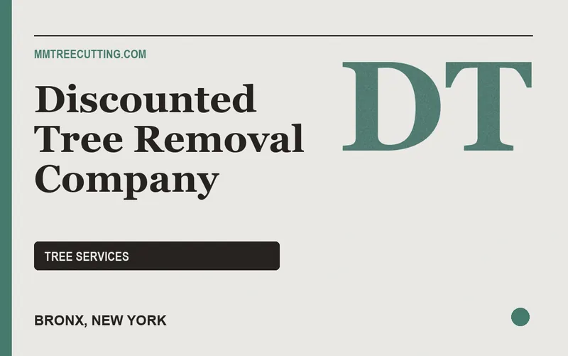 Discounted Tree Removal Company in Bronx, New York