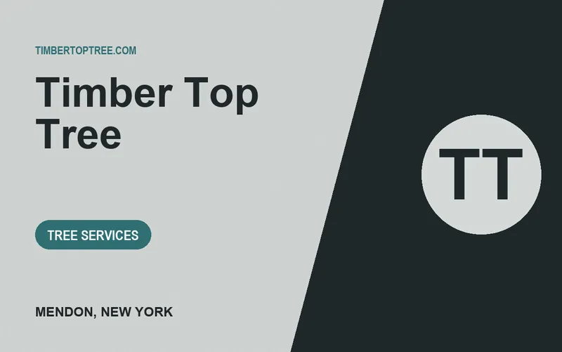 Timber Top Tree in Mendon, New York