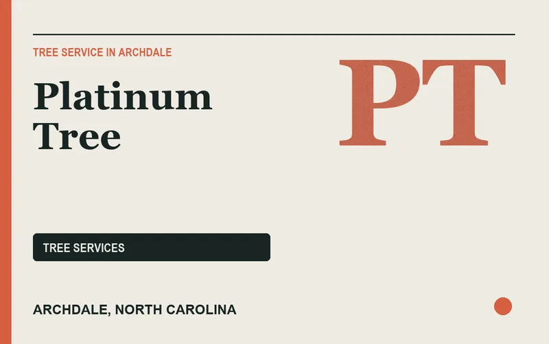 Platinum Tree in Archdale, North Carolina
