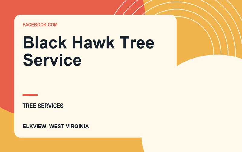 Black Hawk Tree Service in Elkview, West Virginia