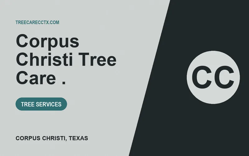 Corpus Christi Tree Care . in Corpus Christi, Texas