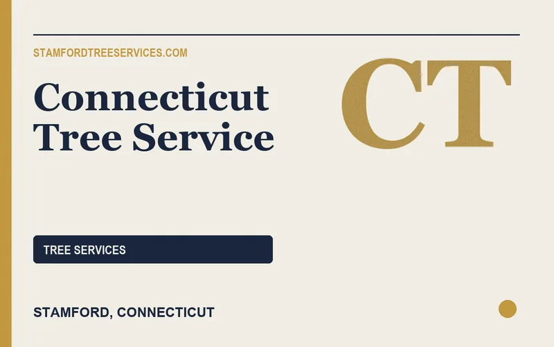 Connecticut Tree Service in Stamford, Connecticut