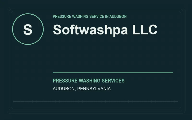 softwashpa llc in Audubon, Pennsylvania