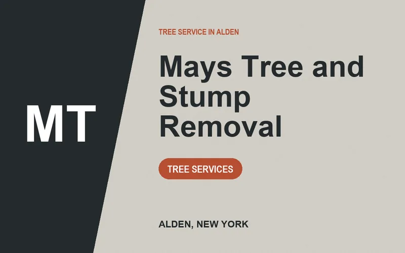 Mays Tree and Stump Removal in Alden, New York