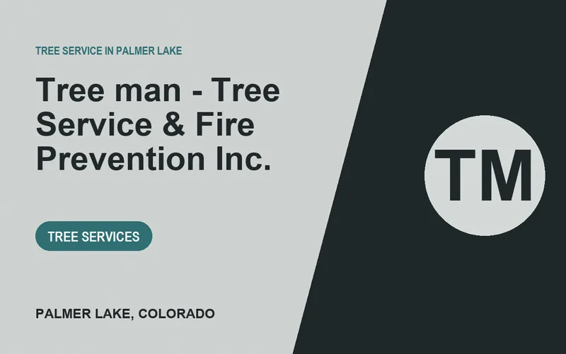 Tree man - Tree Service & Fire Prevention Inc. in Palmer Lake, Colorado