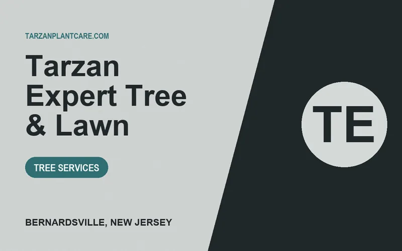Tarzan Expert Tree & Lawn in Bernardsville, New Jersey