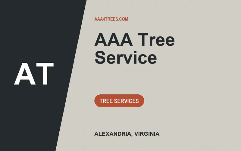 AAA Tree Service in Alexandria, Virginia