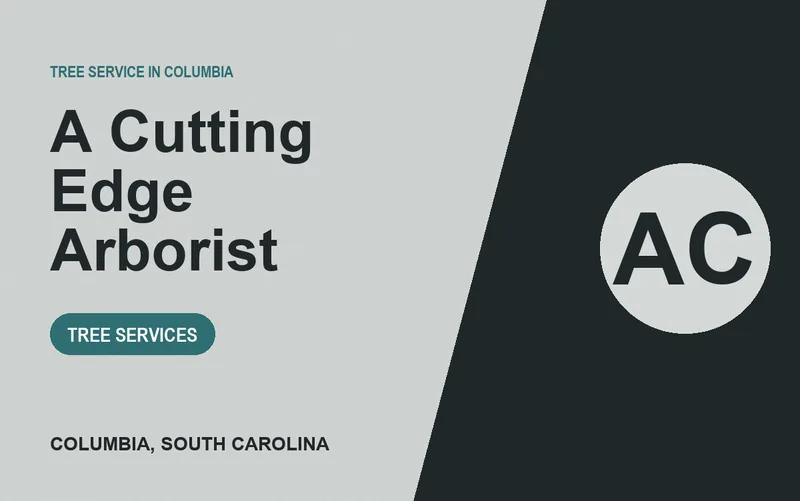 A Cutting Edge Arborist in Columbia, South Carolina