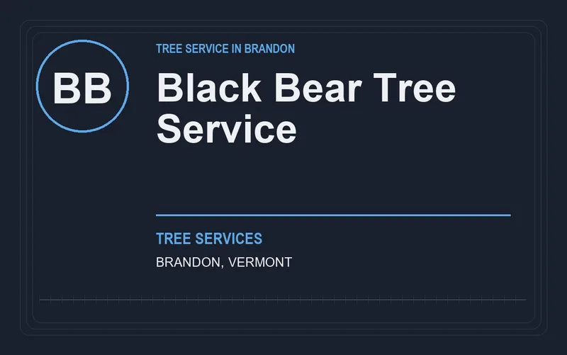 Black Bear Tree Service in Brandon, Vermont