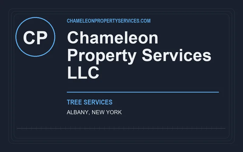 Chameleon Property Services LLC in Albany, New York