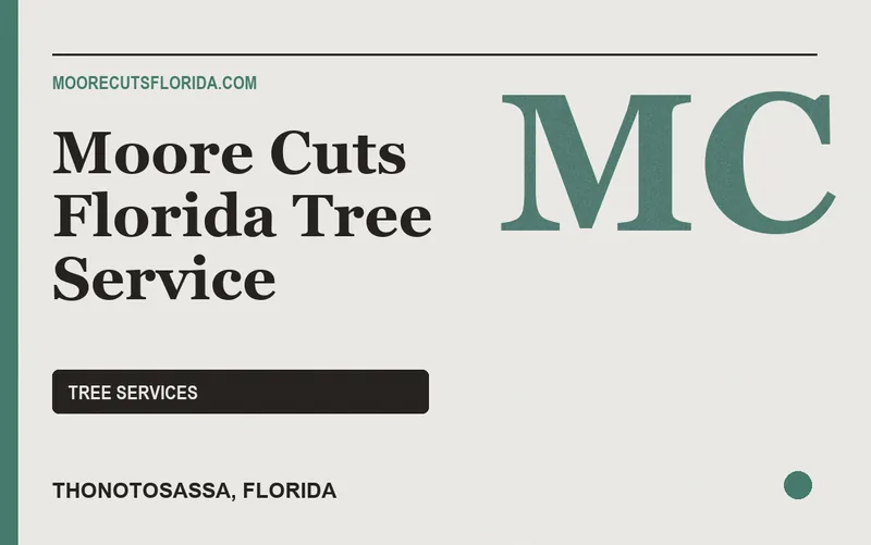 Moore Cuts Florida Tree Service in Thonotosassa, Florida