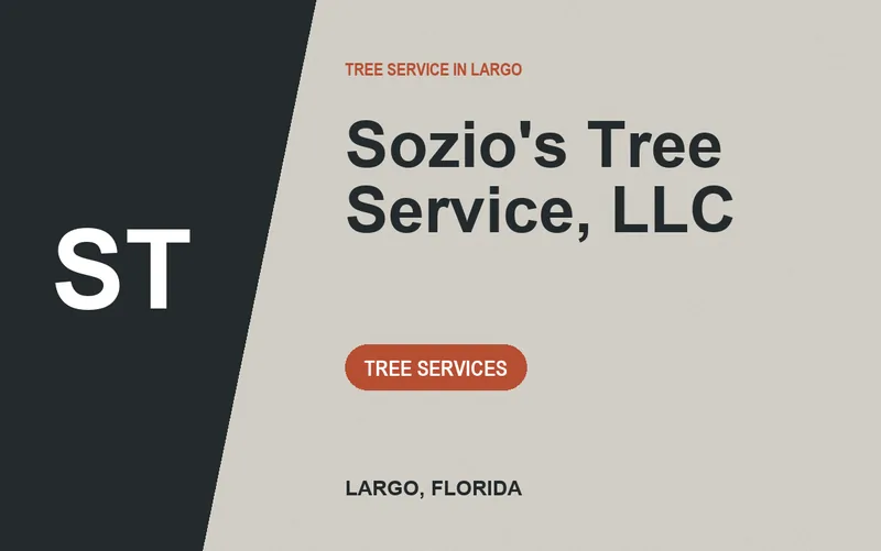 Sozio's Tree Service, LLC in Largo, Florida