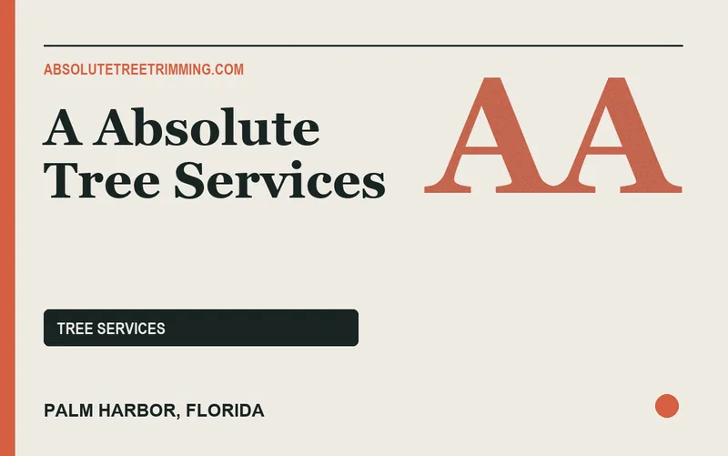 A Absolute Tree Services in Palm Harbor, Florida