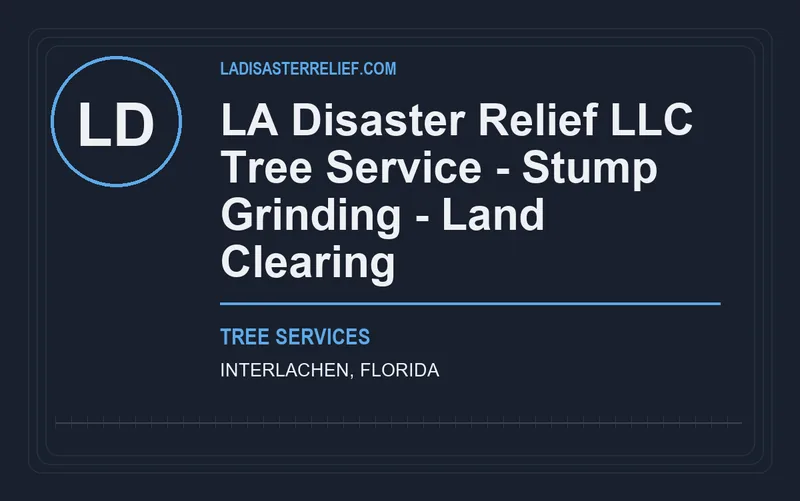 LA Disaster Relief LLC Tree Service - Stump Grinding - Land Clearing in Interlachen, Florida