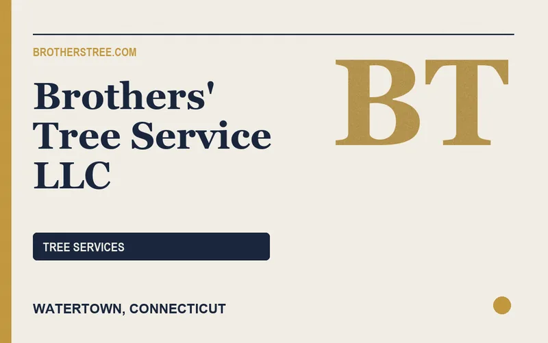 Brothers' Tree Service LLC in Watertown, Connecticut