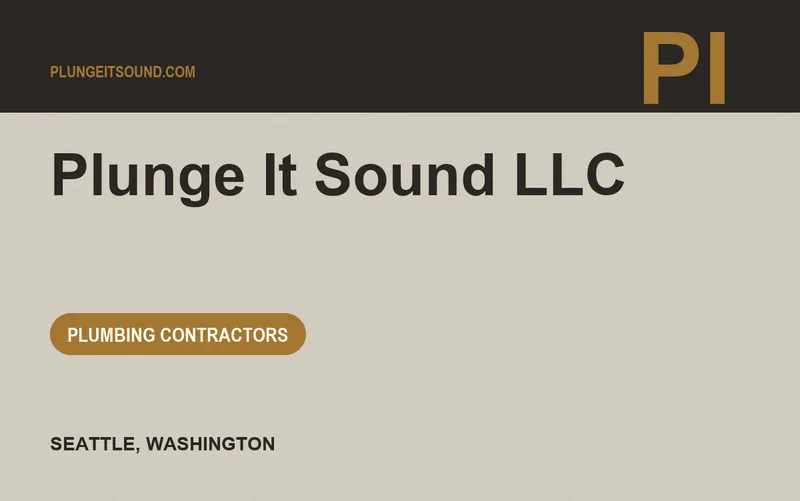 Plunge It Sound LLC in Seattle, Washington