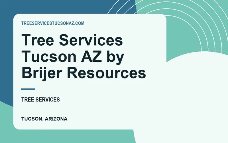 Tree Services Tucson AZ by Brijer Resources in Tucson, Arizona