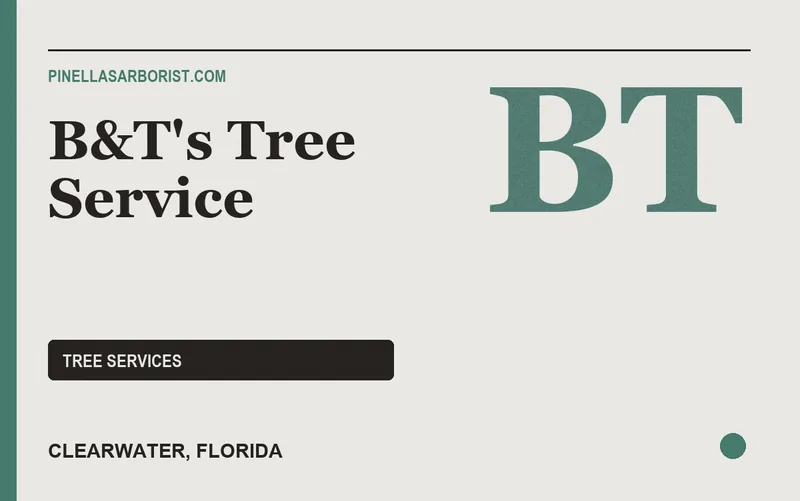 B&T's Tree Service in Clearwater, Florida