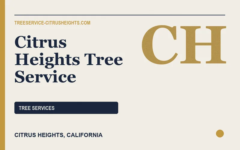 Citrus Heights Tree Service in Citrus Heights, California