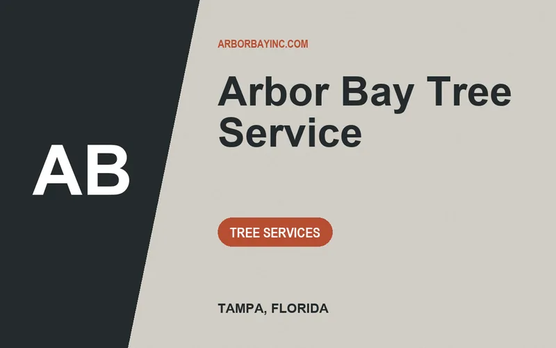 Arbor Bay Tree Service in Tampa, Florida